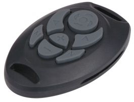 Remote control outlet water snake