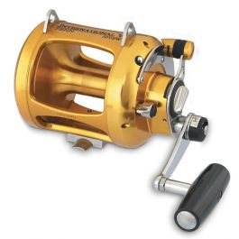 reels-penn-inter-2speed-50vsw.jpg reels-penn-inter-2speed-50vsw.jpg
